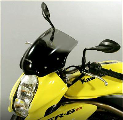 Kawasaki ER-6n (2007)
